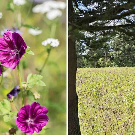 510-thisted-egebaksandevej-10 Σπίτι διακοπών Thisted