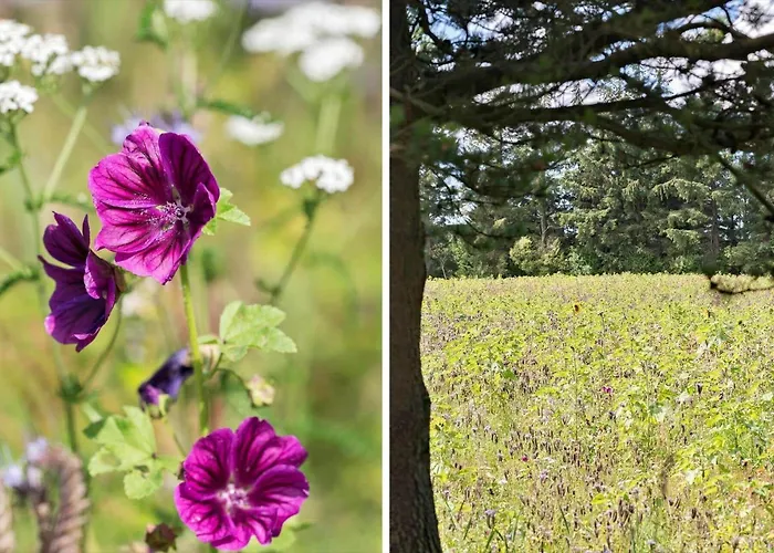 510-thisted-egebaksandevej-10 Prázdninový dům Thisted